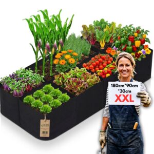 e979d0a58698be41881f0d0e41305673