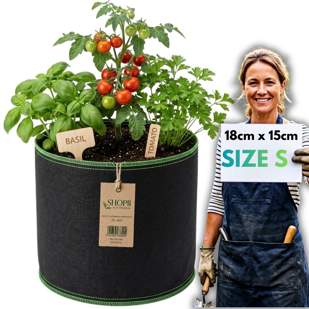 0c0e4ed69ad629502ff7b2a24e20f05f