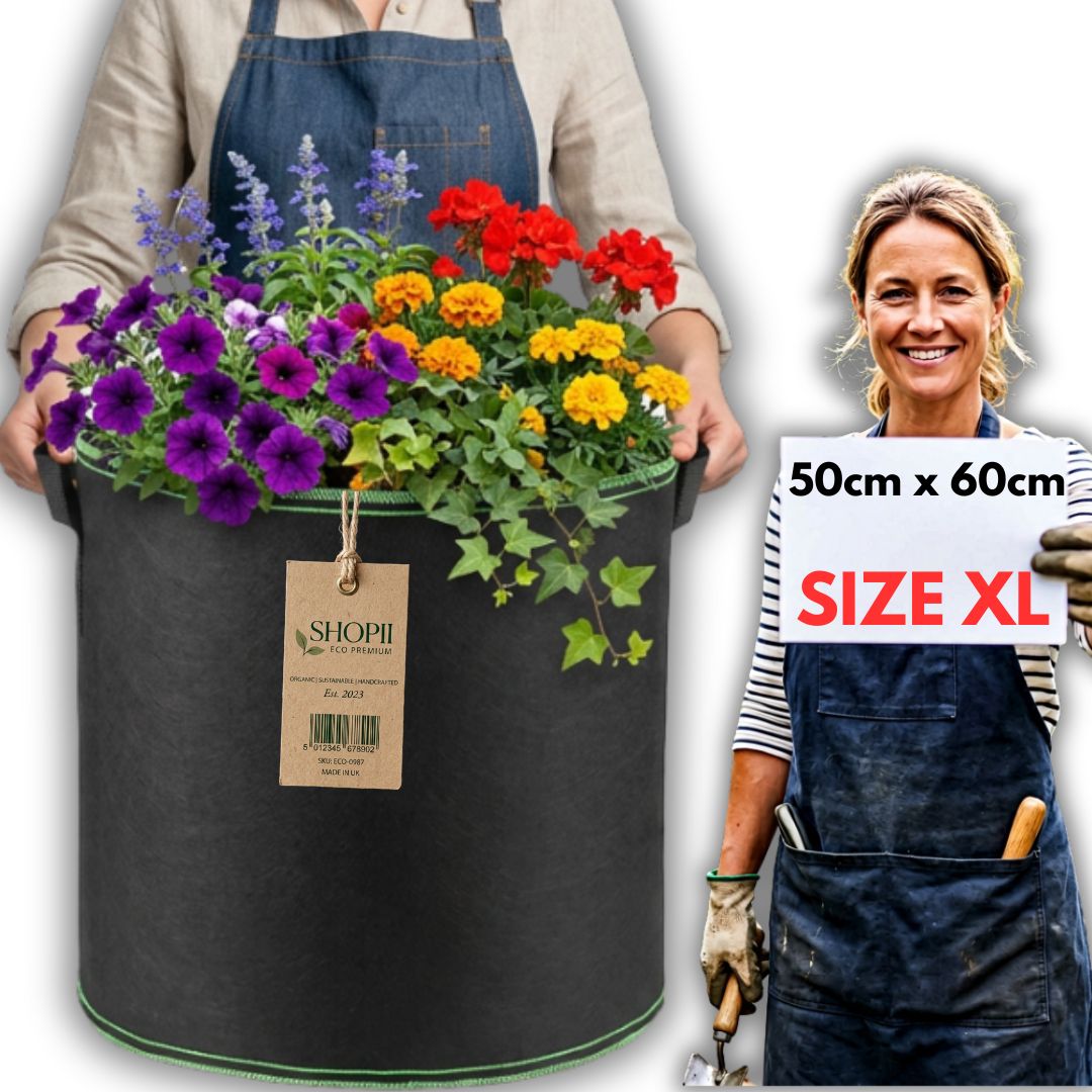 09226311d55c4b07aaff639506c8e98a