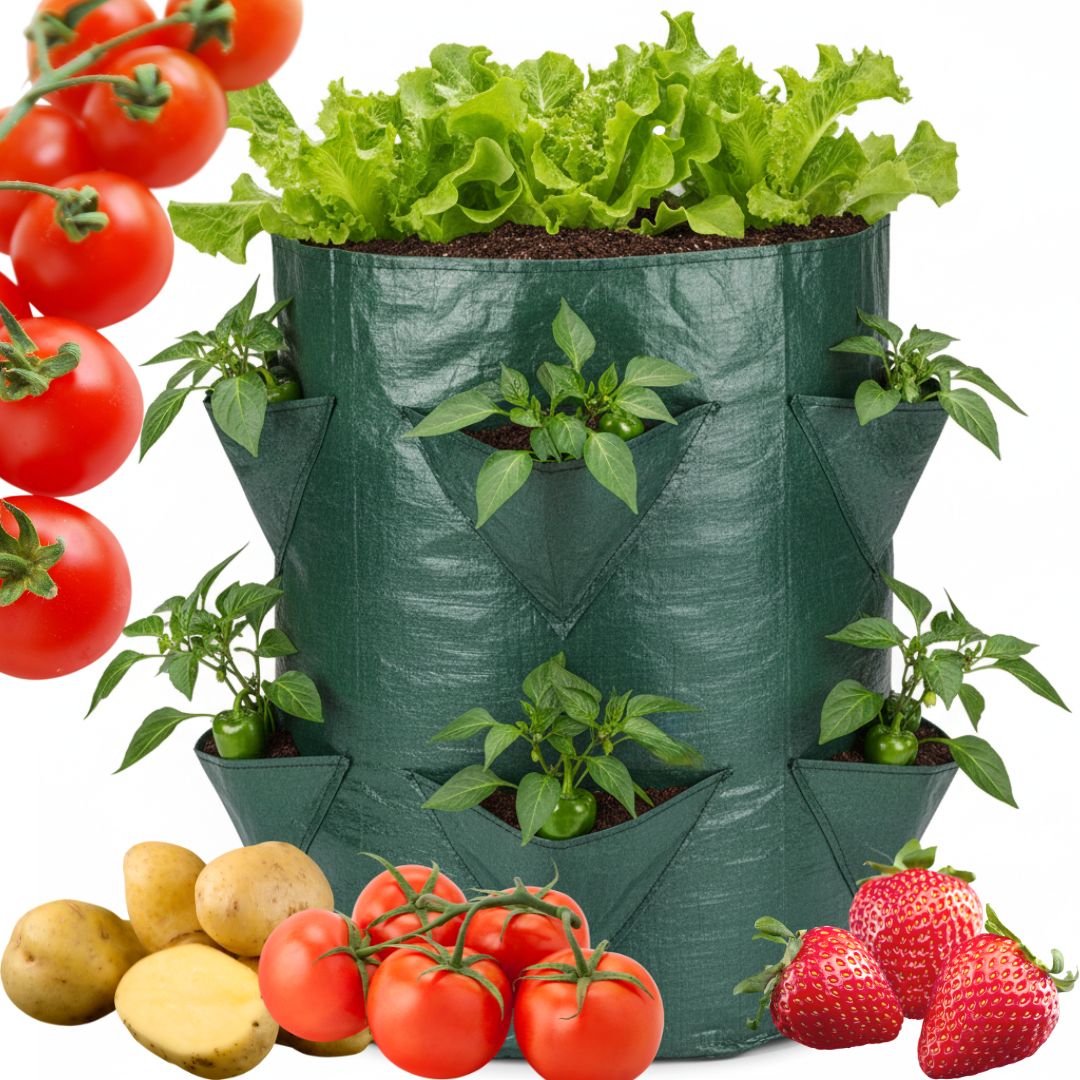 b6268820ca2e657c01c4c21cd3cd0107