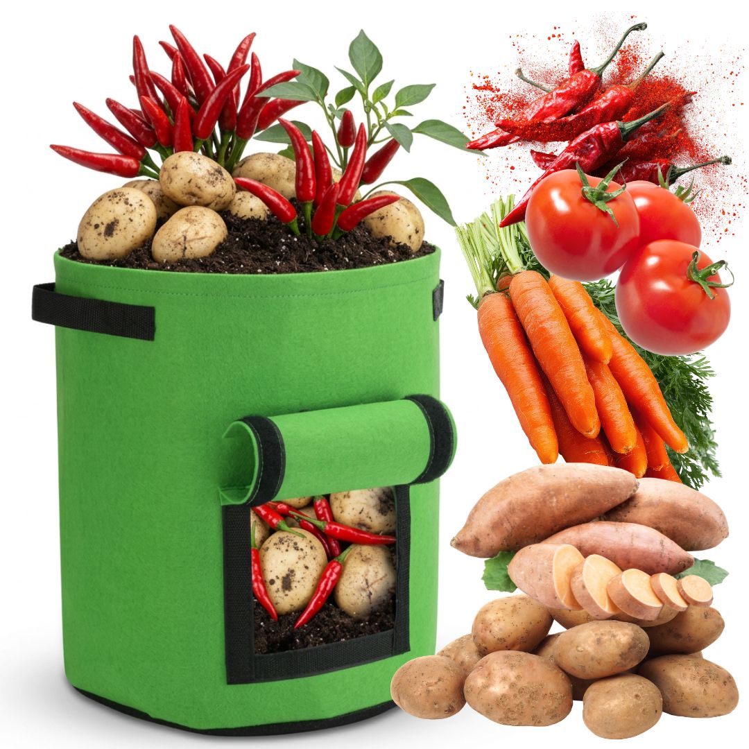 ba51477258a89f8d27d2a2b4755eea4b